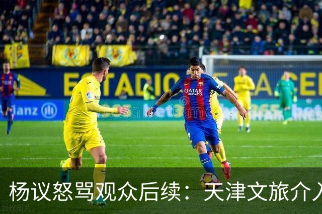 杨议怒骂观众后续：天津文旅介入核查，知情人发声，本人视频道歉