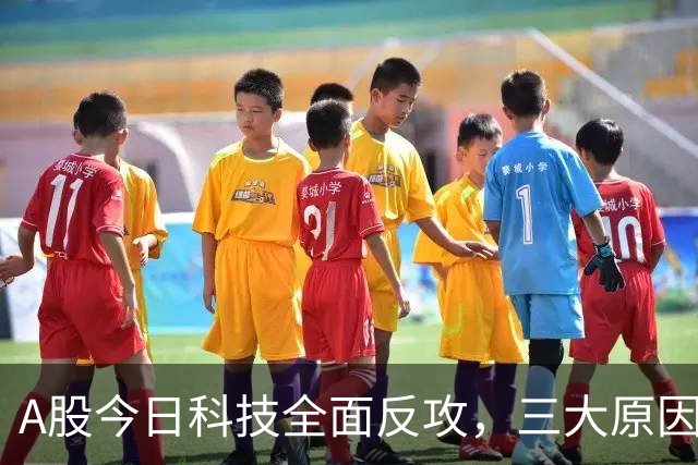 A股今日科技全面反攻，三大原因共振！周四将迎来更关键的拐点？